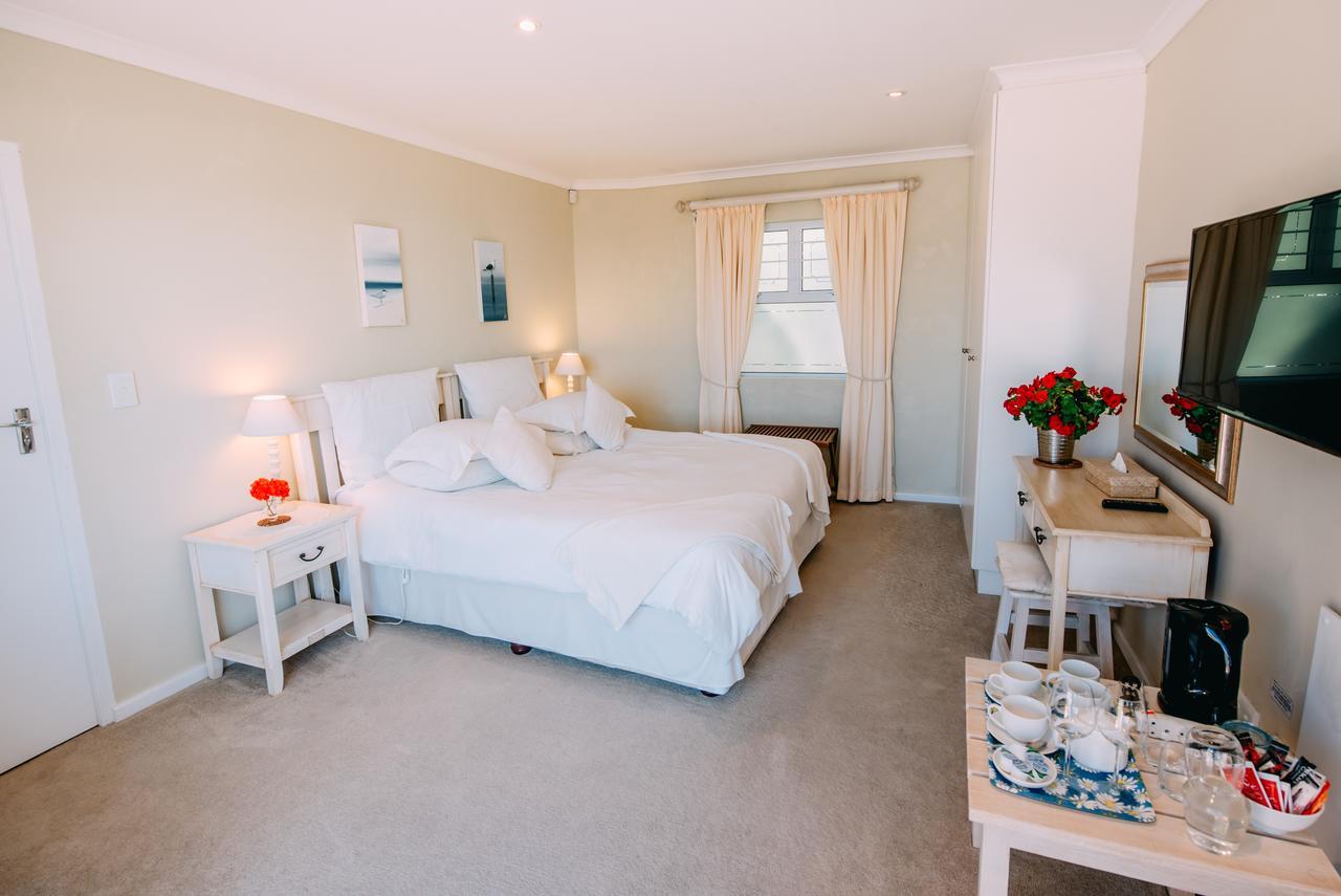 Dolphins' Playground Beachfront B&B Plettenberg Bay Δωμάτιο φωτογραφία